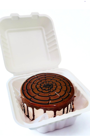 Nutella Bento Cake – Mini Chocolate Delight