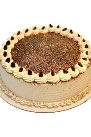 Chocolate Coffee Mocha Cake