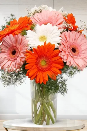 8 Mixed Gerberas in Glass Vase