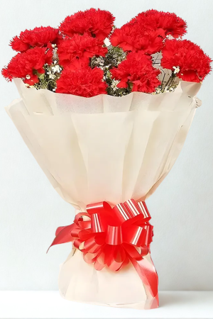 10 Red Carnation Bouquet – Elegant, Fresh & Heartfelt