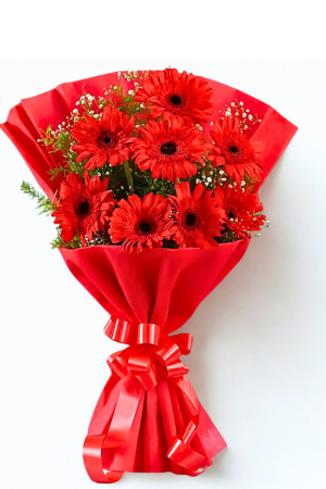 8 Red Gerberas Bouquet – Bold, Vibrant & Cheerful