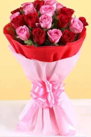 Romantic Harmony – 20 Pink and Red Roses