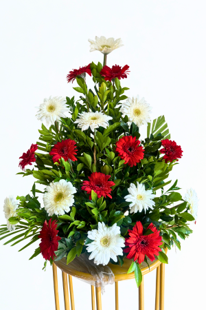 Red & White Gerbera Arrangement with Seasonal Fillers – Vibrant & Elegant Floral Display
